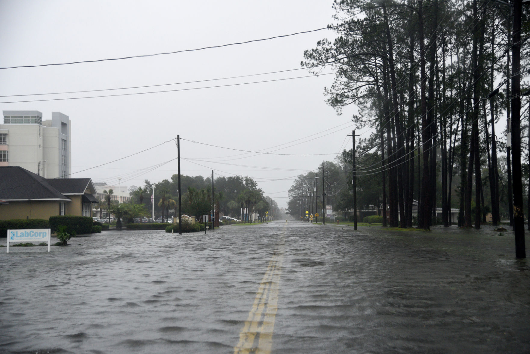 parkwood drive.jpg